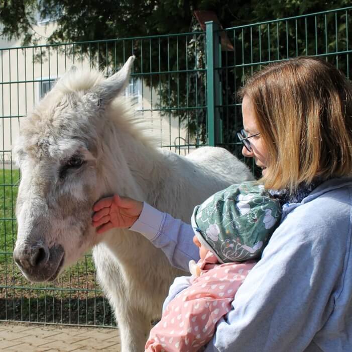 Mutter mit Kind streichelt Esel